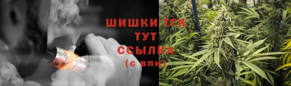 стаф Балахна
