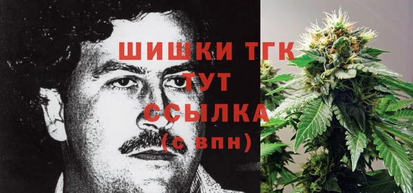 прущий лед Арсеньев